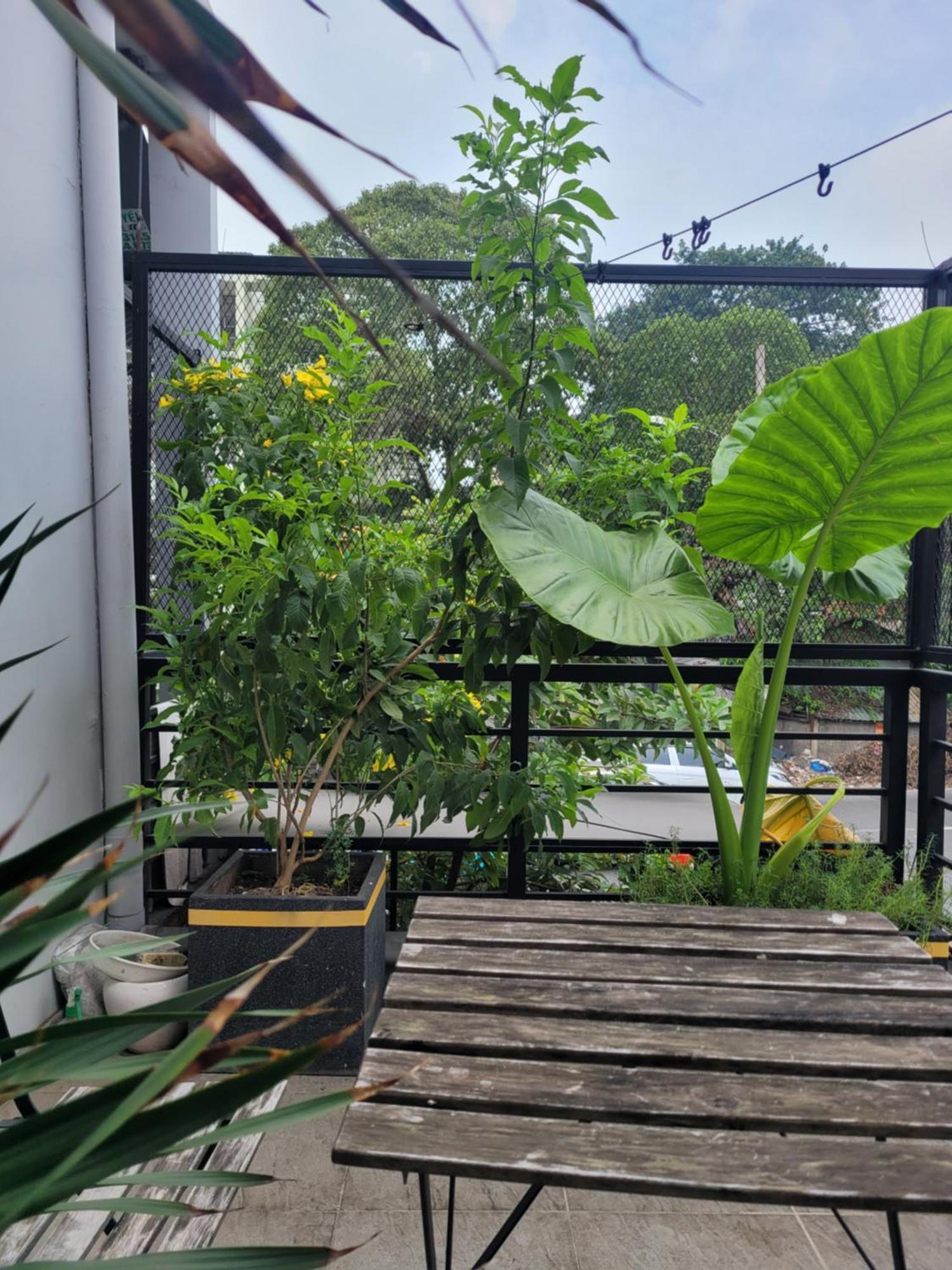 Agk House - Homestay - 406 Xo Viet Nghe Tinh, P25, Binh Thanh, Gan Nga 4 Hang Xanh 호치민 외부 사진